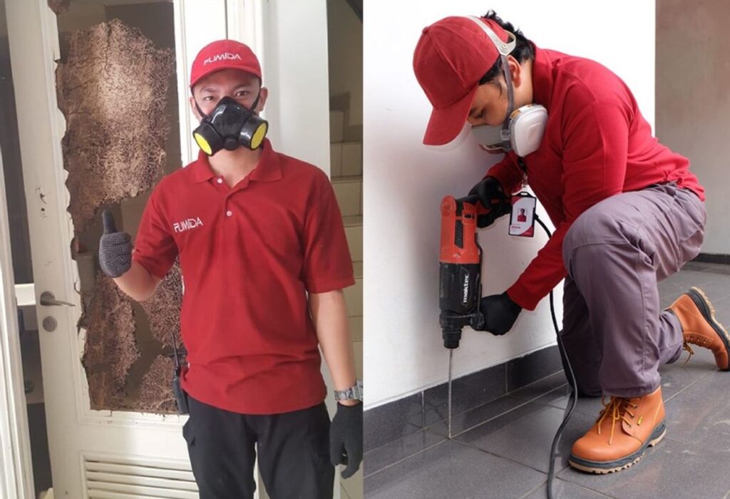 Pertahankan Rumah Anda Dengan Jasa Anti Rayap